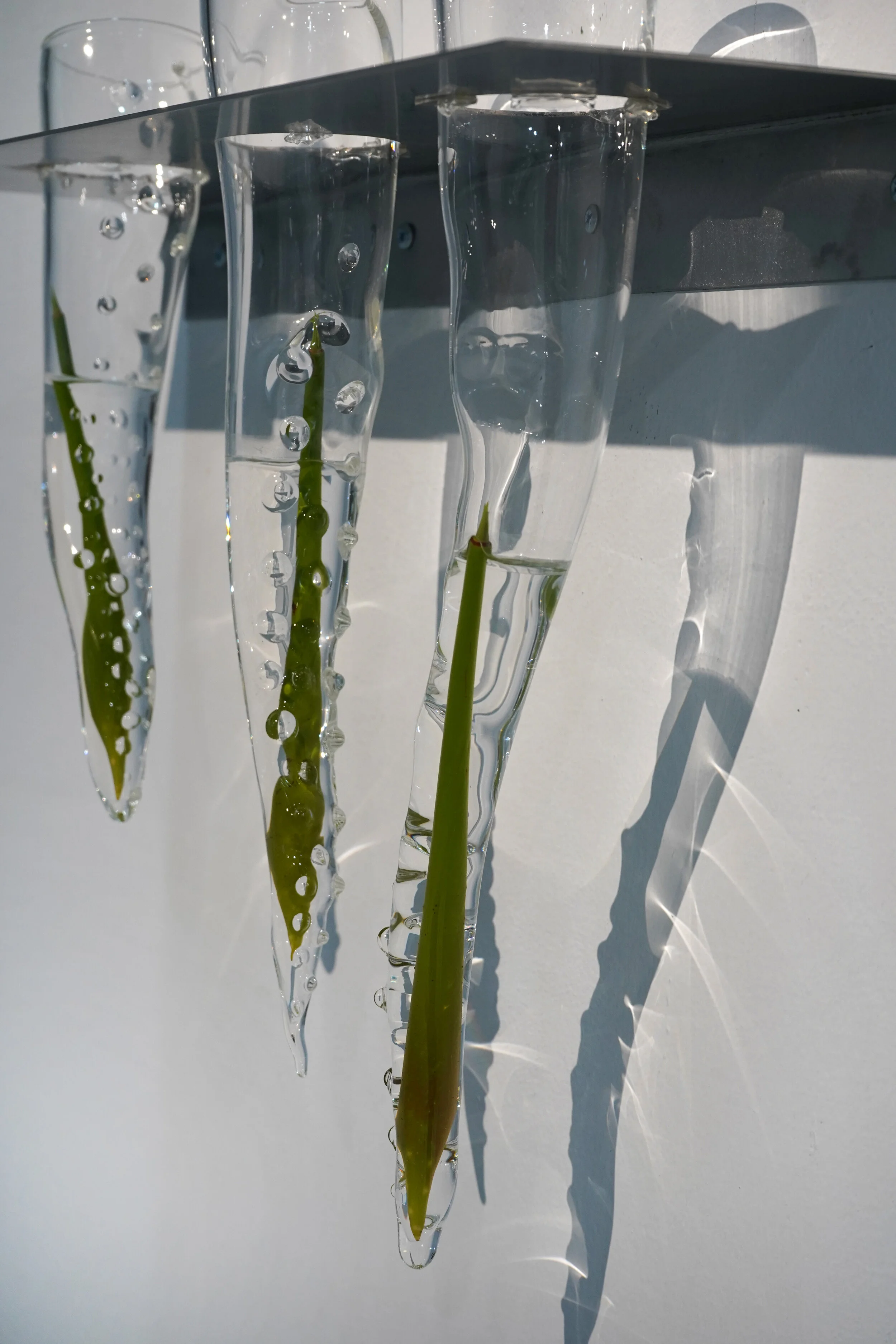 tentacel vessels 2.jpg