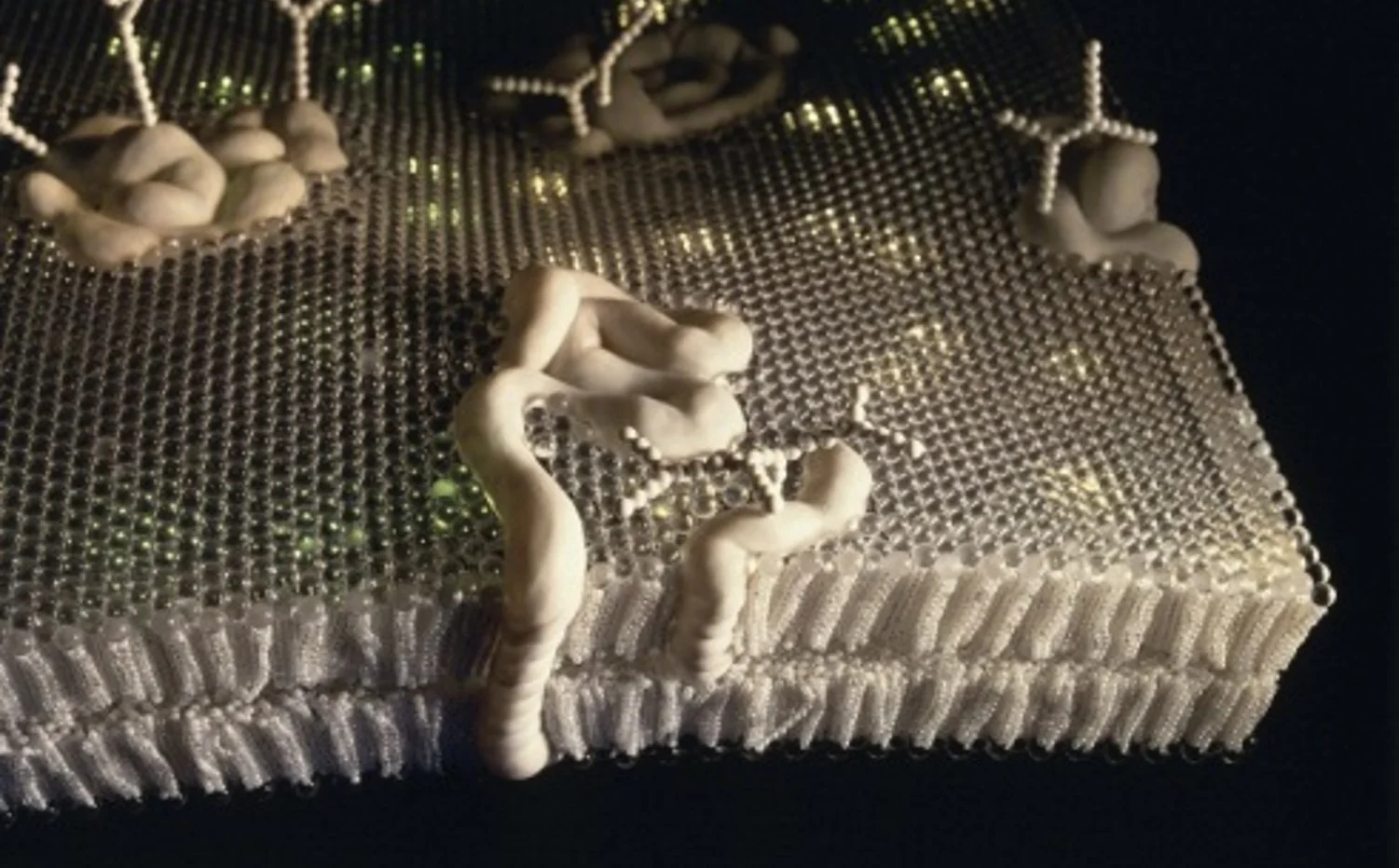 microbial-cube-oct2011.jpg