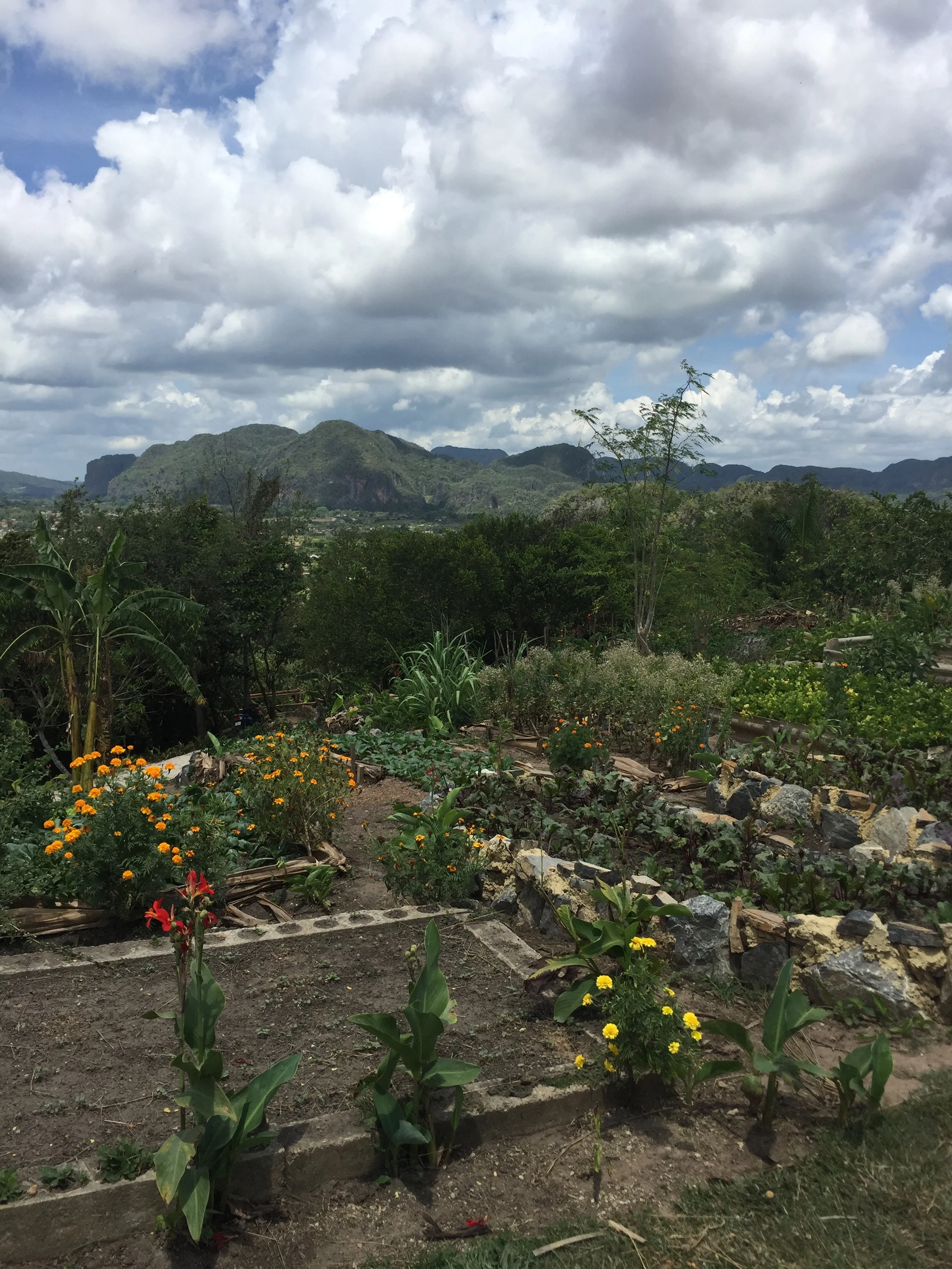 7- Vinales Valley.jpg