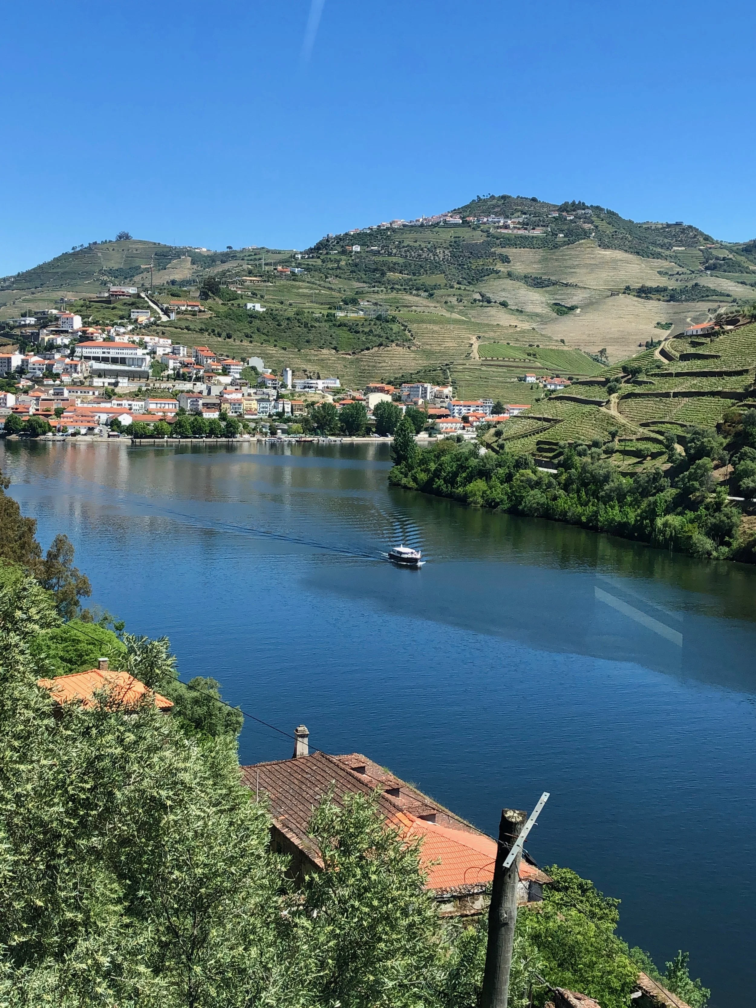 view of Porto .jpeg