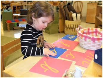 Material Spotlight: Montessori Moveable Alphabet from the Language Area