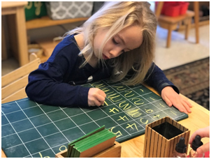 Montessori Basics: How Math Progresses Through the Levels