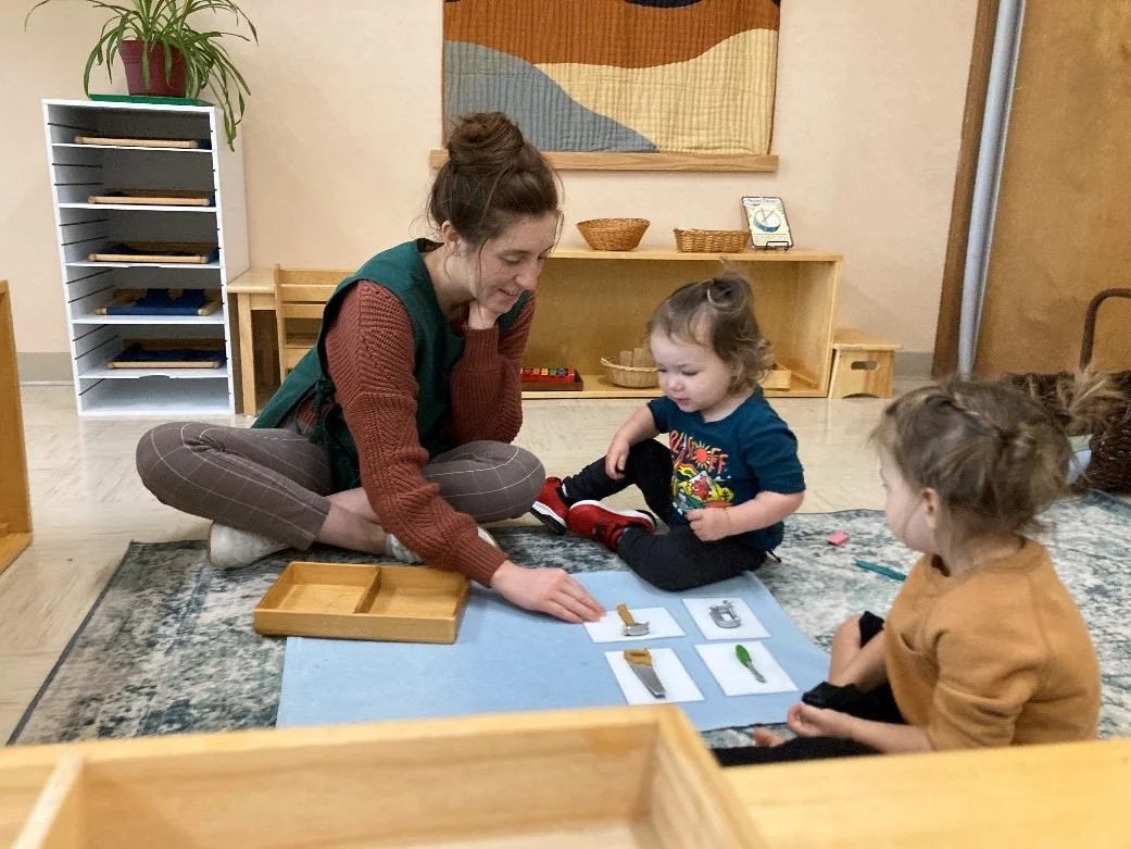 A Subtle Art: The Beauty of the Montessori Three-Period Lesson