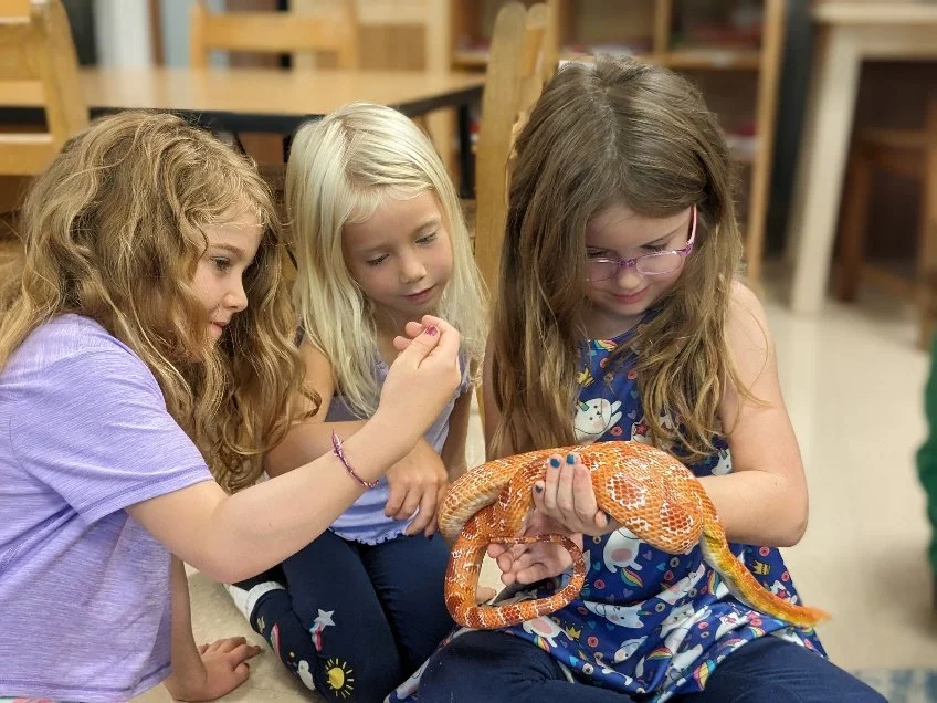 Montessori at Home: Caring for Pets Montessori-Style