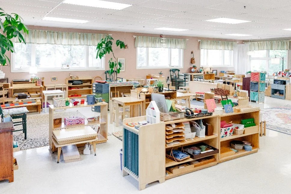 Nurturing the Whole Child: How Montessori Balances Emotional, Social, and Cognitive Growth 