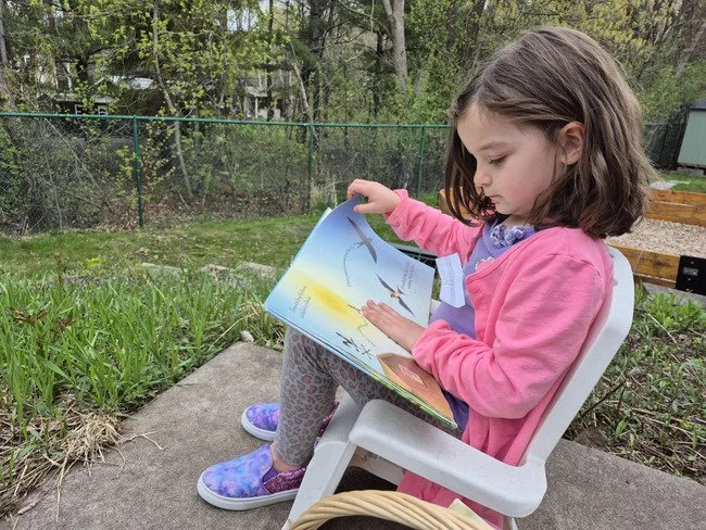 Our Montessori Bookshelf: Wonders of the Natural World
