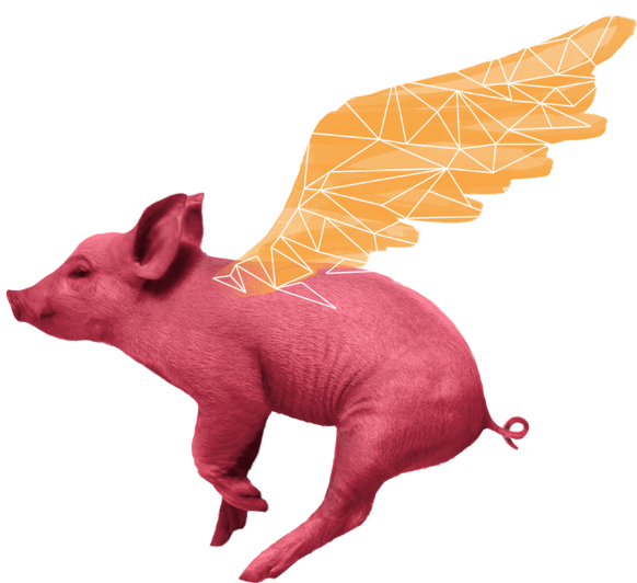 FlyingPig.png