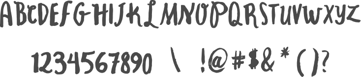 SOME PIG: A CUSTOM TYPEFACE CREATED FOR THE CAMPAIGN