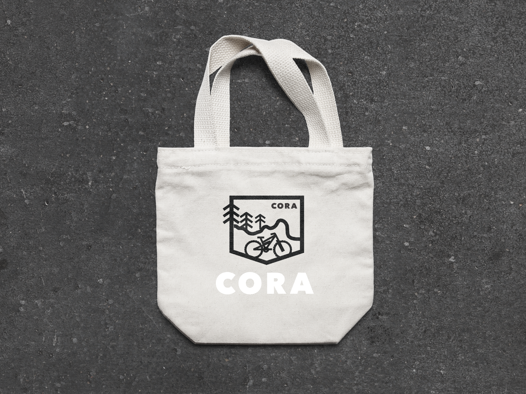 bag.png