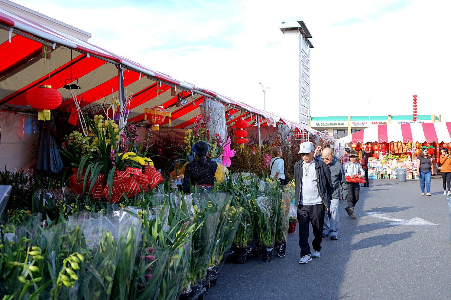 Opening Week Of The Flower Festival Project W