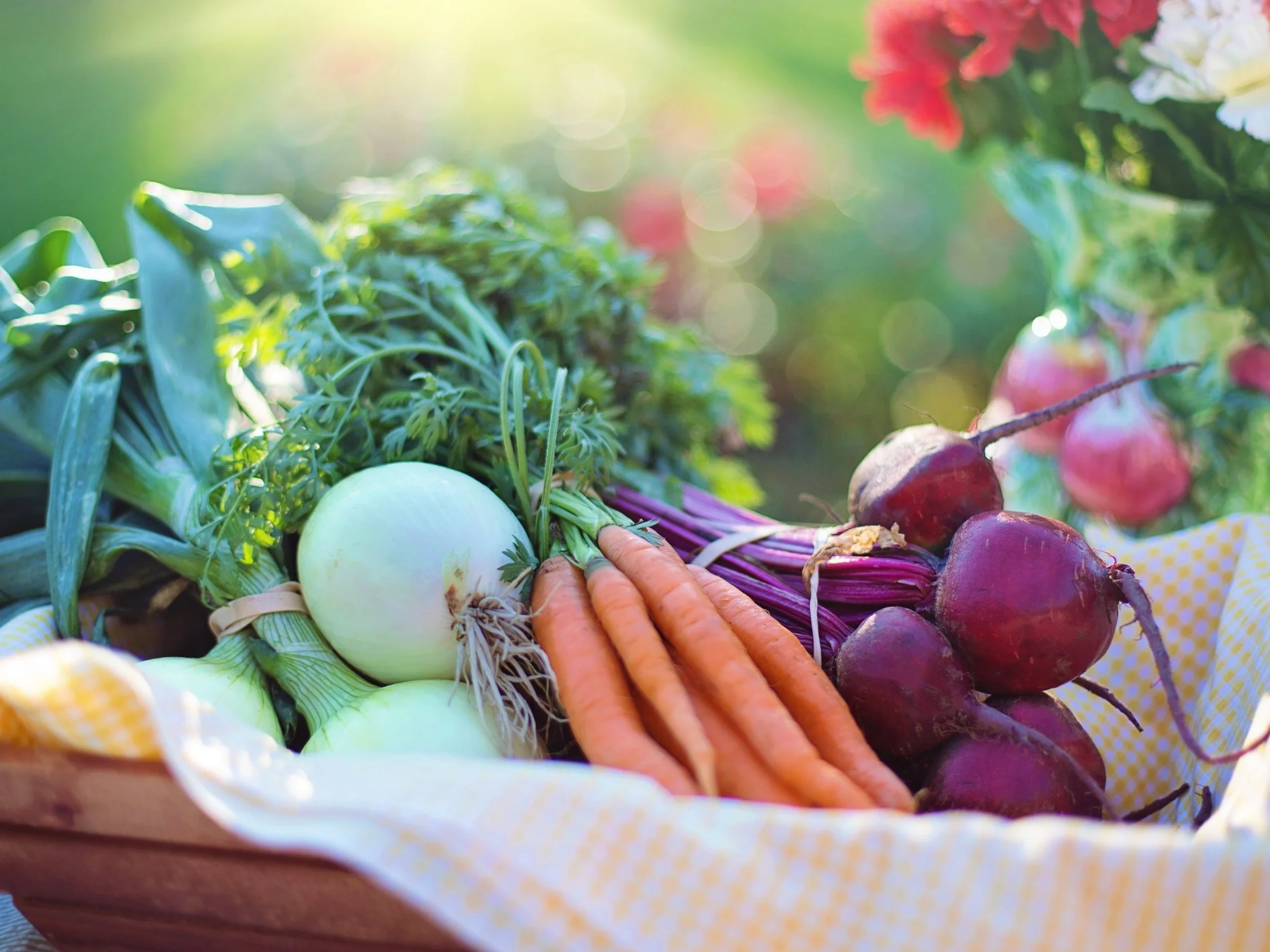 agriculture-basket-beets-533360.jpg