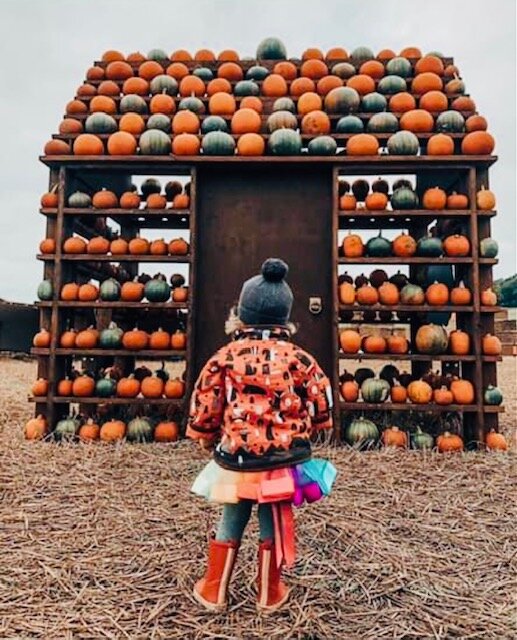 pumpkin house.jpg