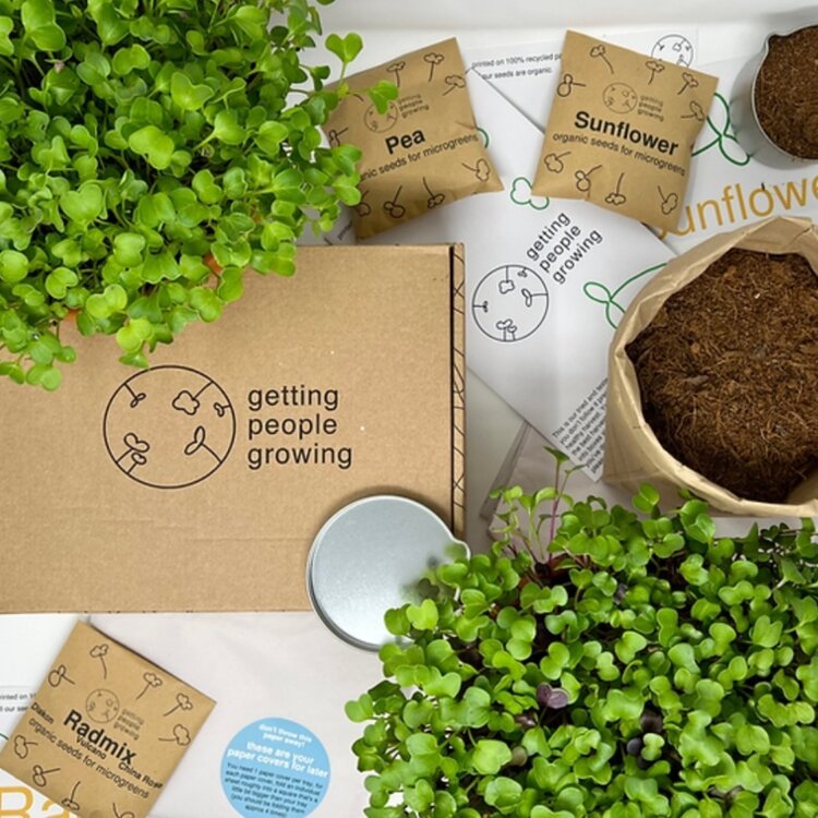 Microgreens Growing Kit