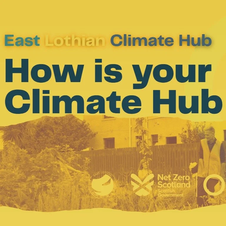 The Scottish Government wants to know what you think of the Climate Hub (ELCAN) and our work in East Lothian. They provide the majority of the funding for the Hubs at the moment (so this is important!)

We are asking you, if you've connected with or 