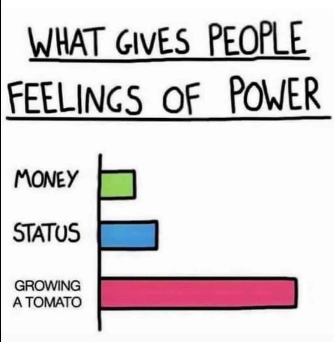 Are you growing tomatoes this year? Top t#dolilthings 

#growyourown #actofhope #bettertomorrow #adapt #tomatotips #dolilthings