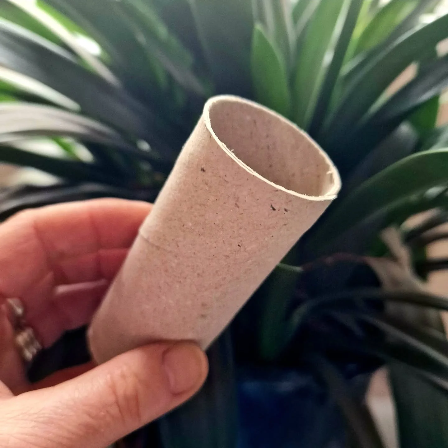 How many uses can you think of for a toilet roll inner tube? 

Permaculture and circular design suggests we choose numerous elements for each function, and numerous functions for each element to build in resilience.

Let's see how many uses/functions