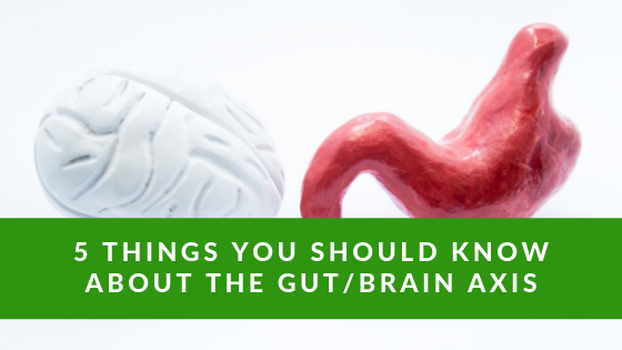 Gut-Brain Axis.png