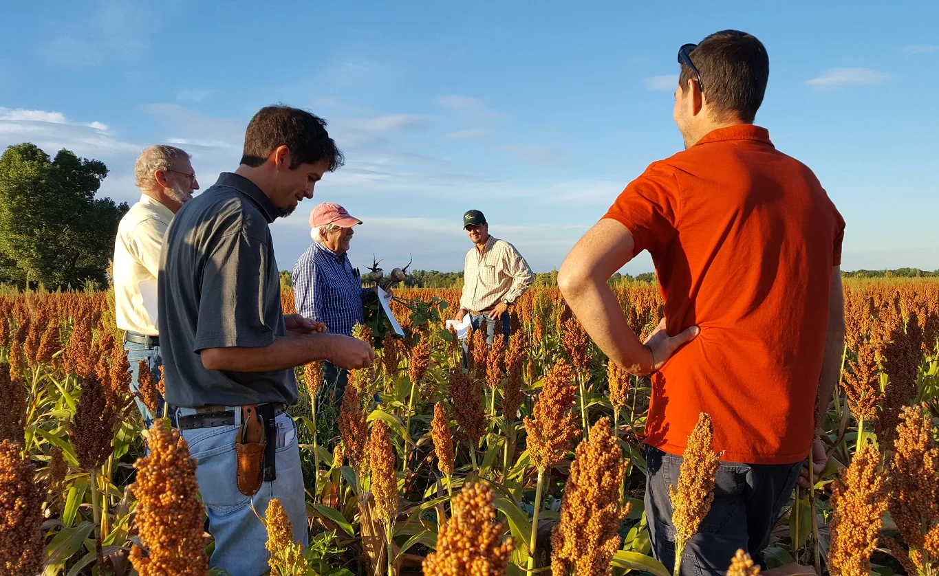 funke-companion-crop-field-day-2017.jpg