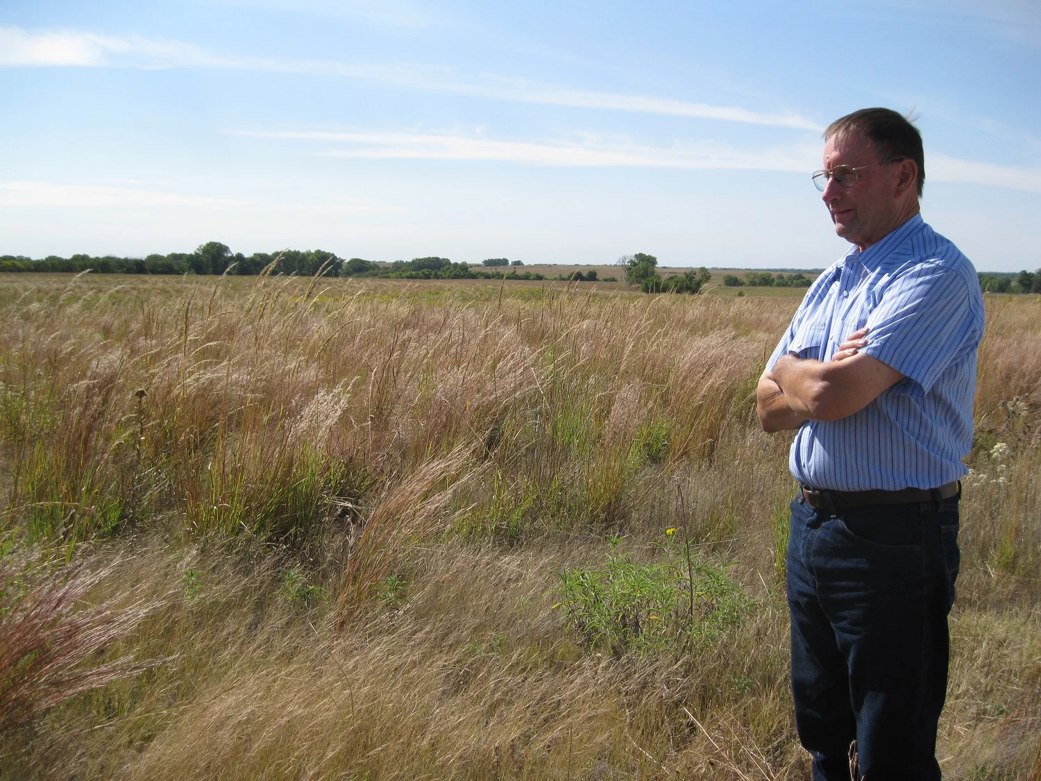 krehbiel-cropland-converted-to-native-grass.JPG