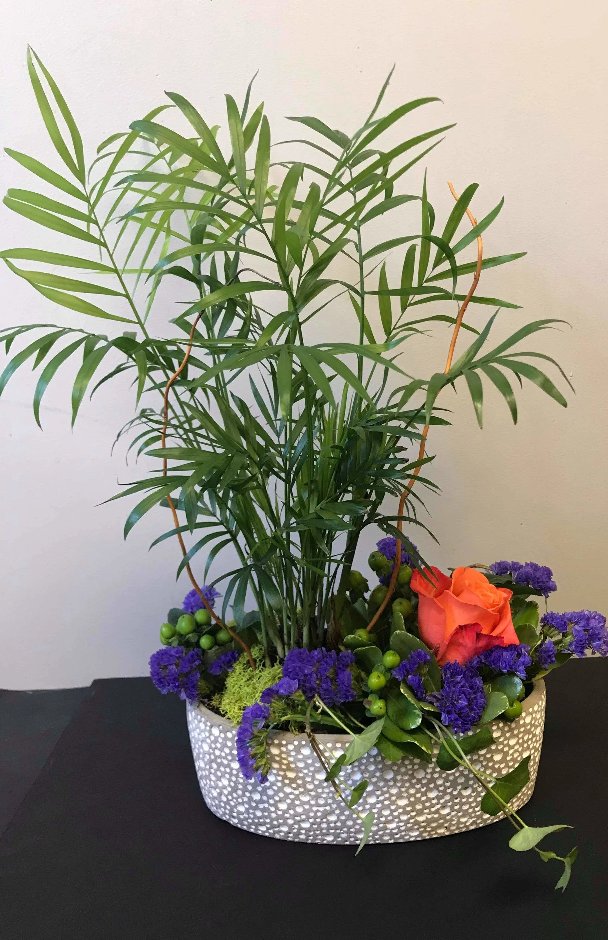 Sympathy Plants