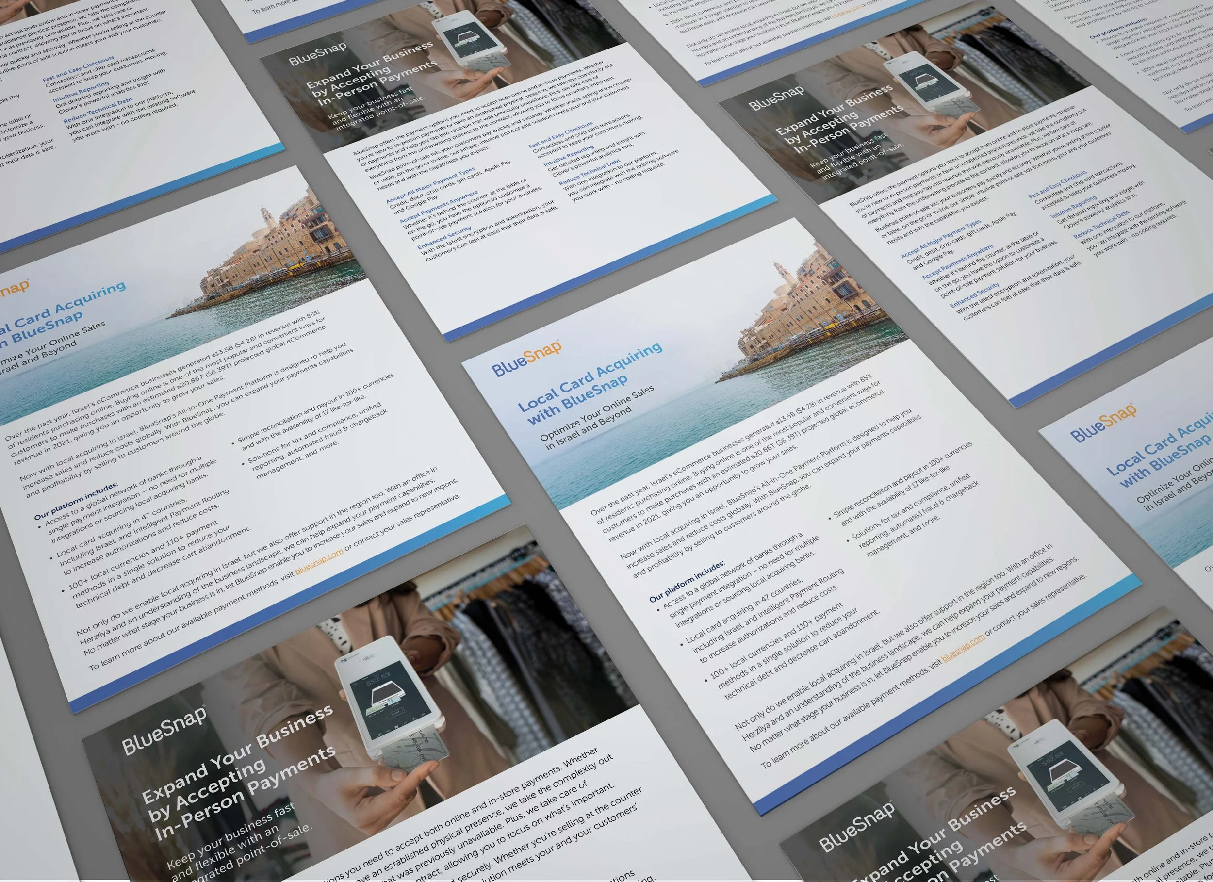 BlueSnap_OnePager_2.jpg