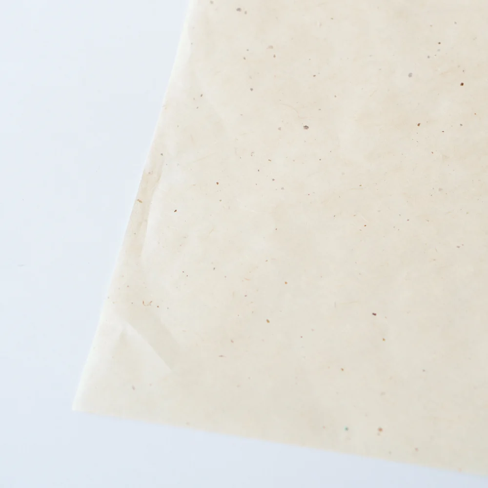 Japan Rice Paper