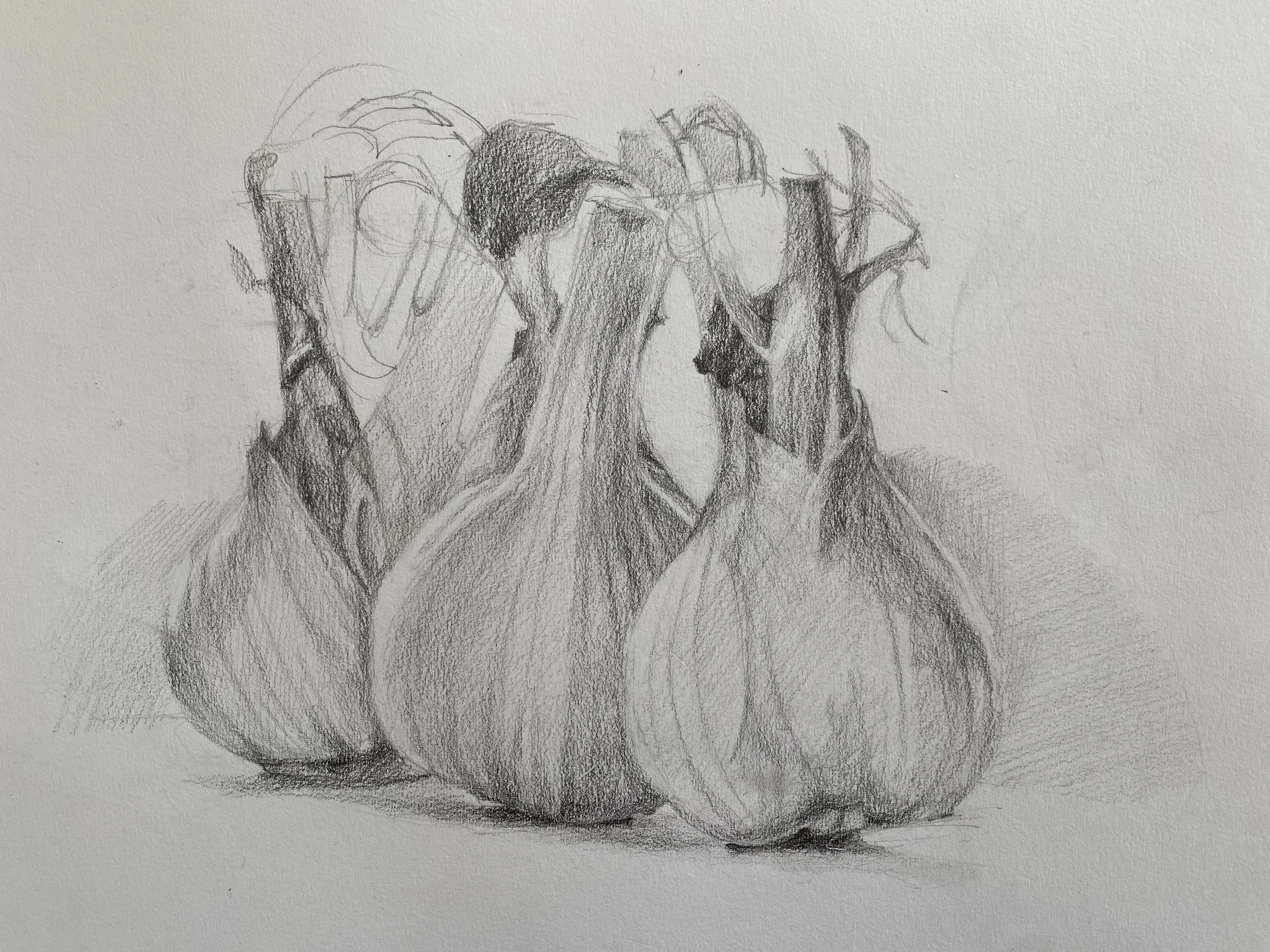 vegg still life.jpeg