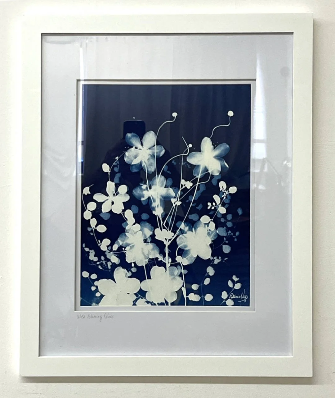 Patricia Vega
• Wild Blooming Blues
• Cyanotype on watercolour paper
• 11 x 14 in