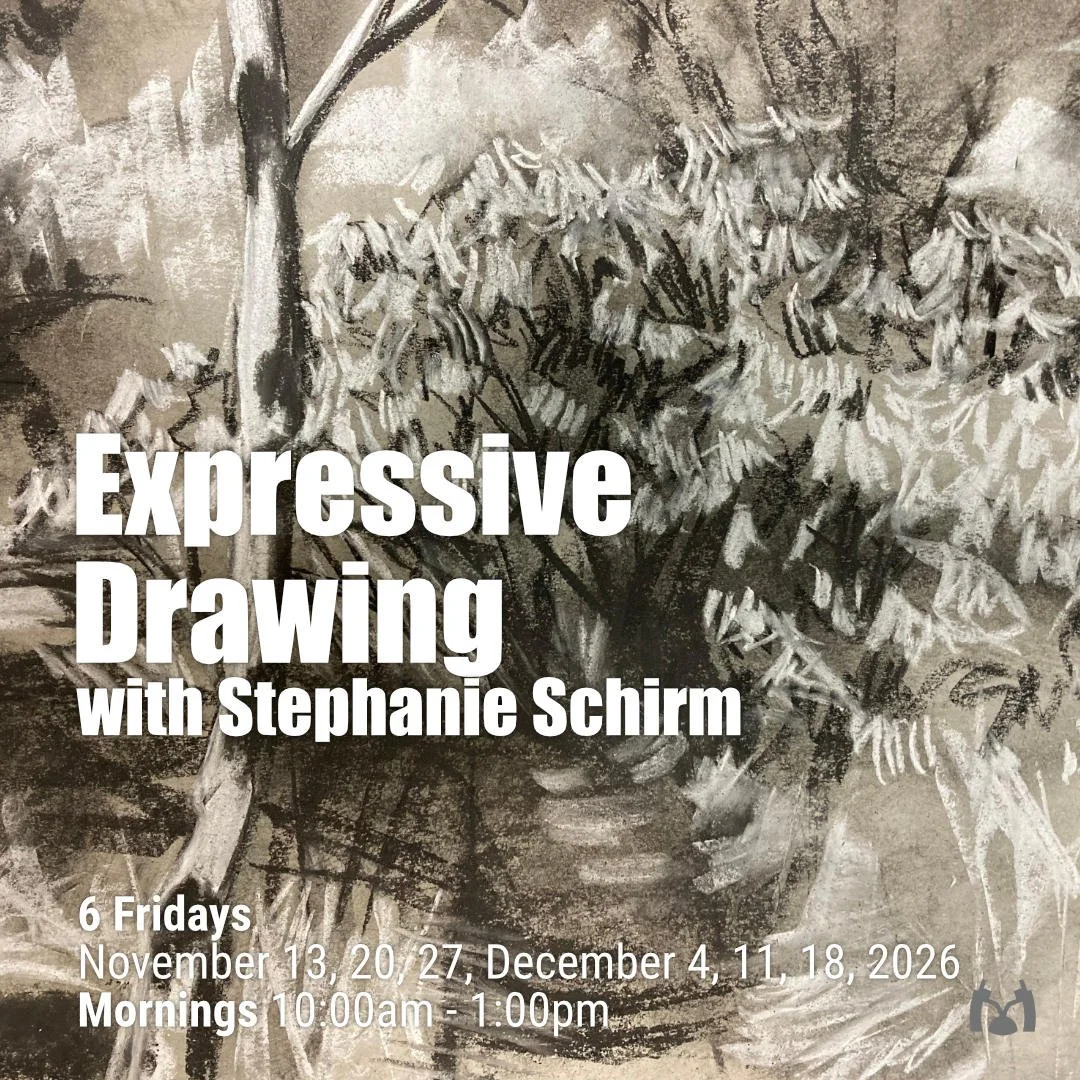 Expressive Drawing with Stephanie Schirm - 6 Fridays - Nov 13, 20, 27, Dec 4, 11, 18, 2026