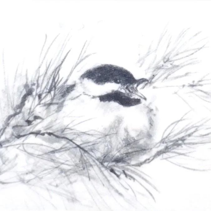 Chickadee%27s+Song.jpg