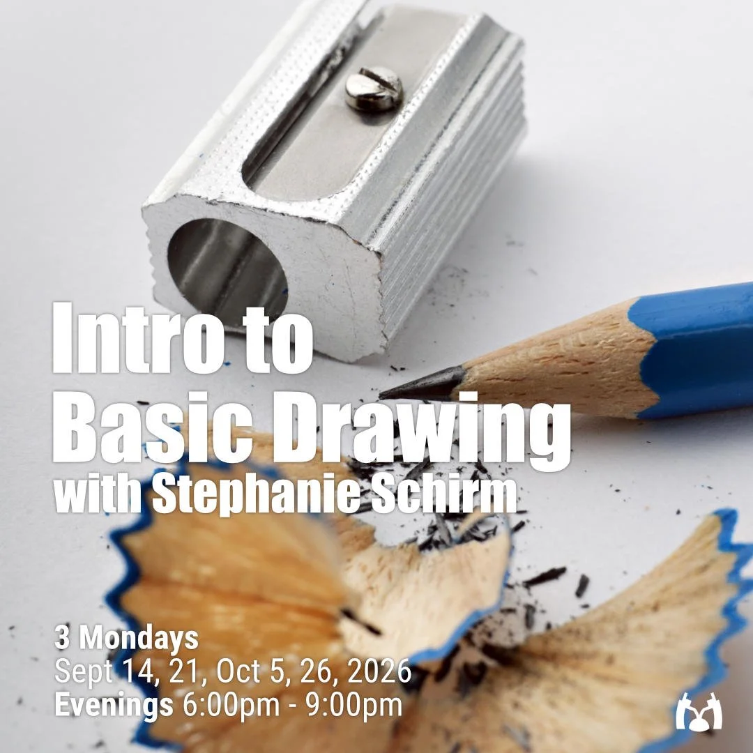 Stephanie Schirm - Intro to Basic Drawing.jpg