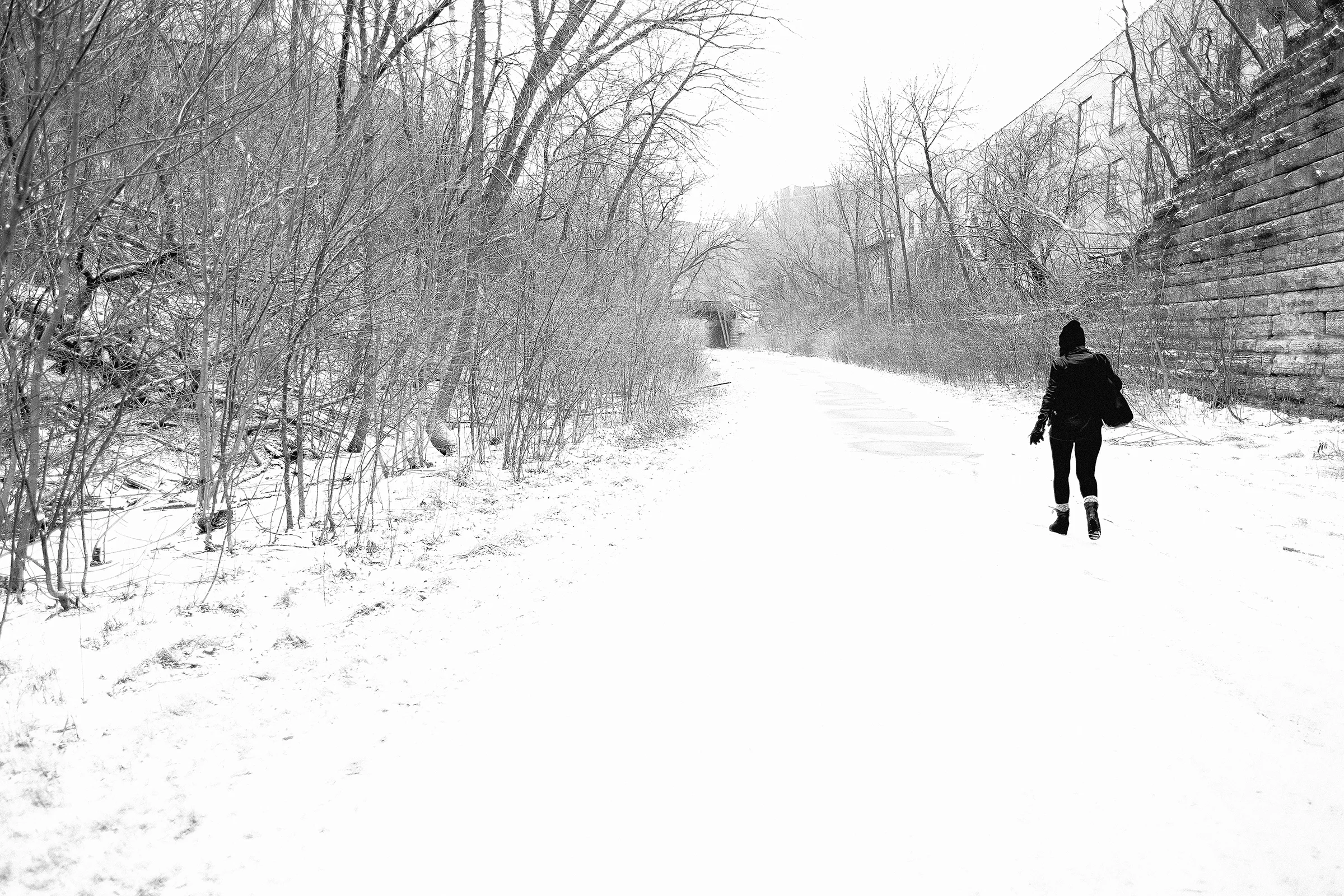 walk.jpg