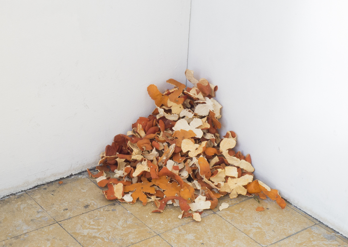  “untitled” 2016, dried orange peels, dimensions according to space, ever expanding  