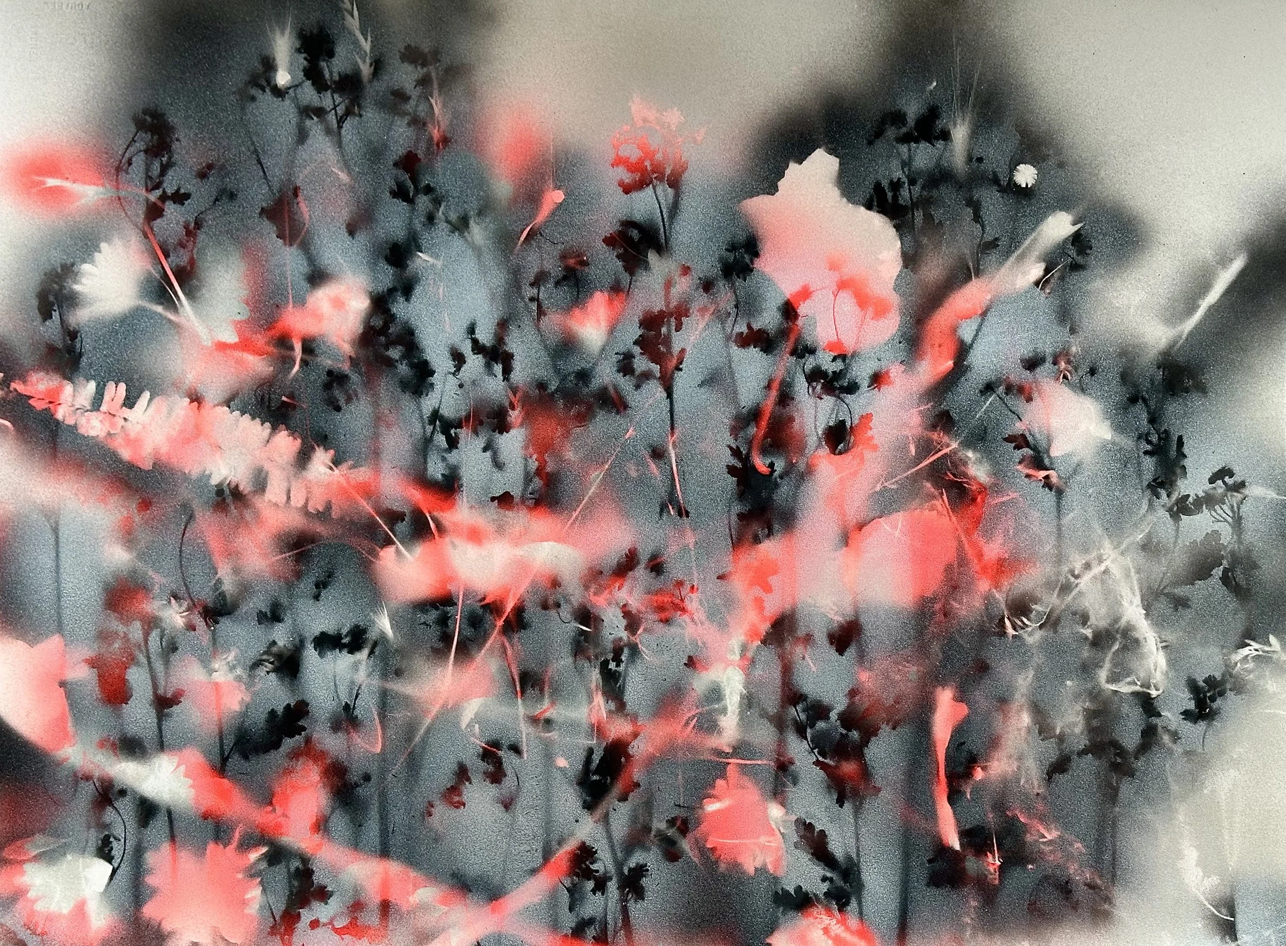 "Shadow Flowers," acrylic spray paint on Arches, 22 x 30," 2024, $1700