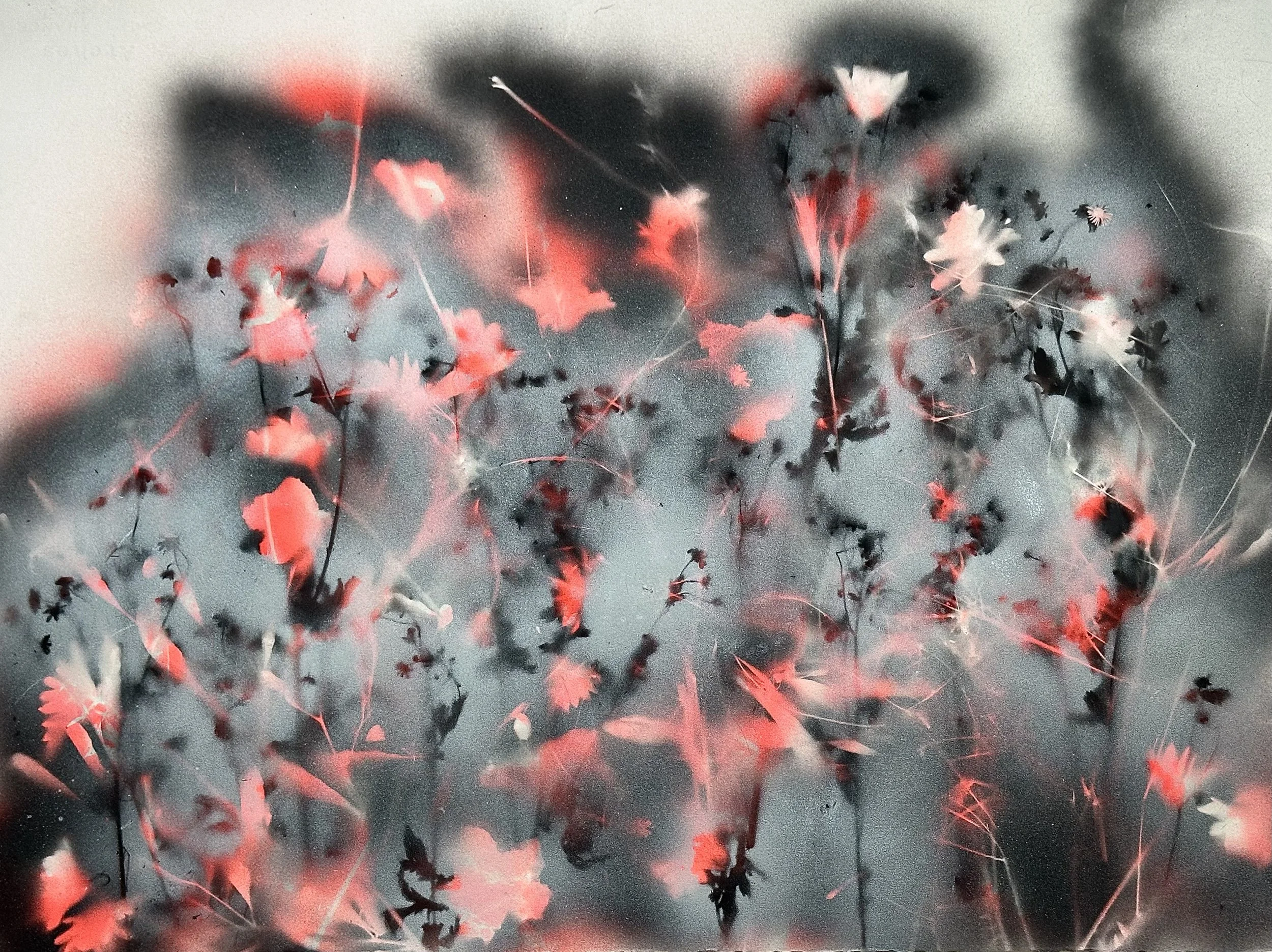 "Daisies in the Fog," acrylic spray paint on Arches, 22 x 30," 2024, $1700