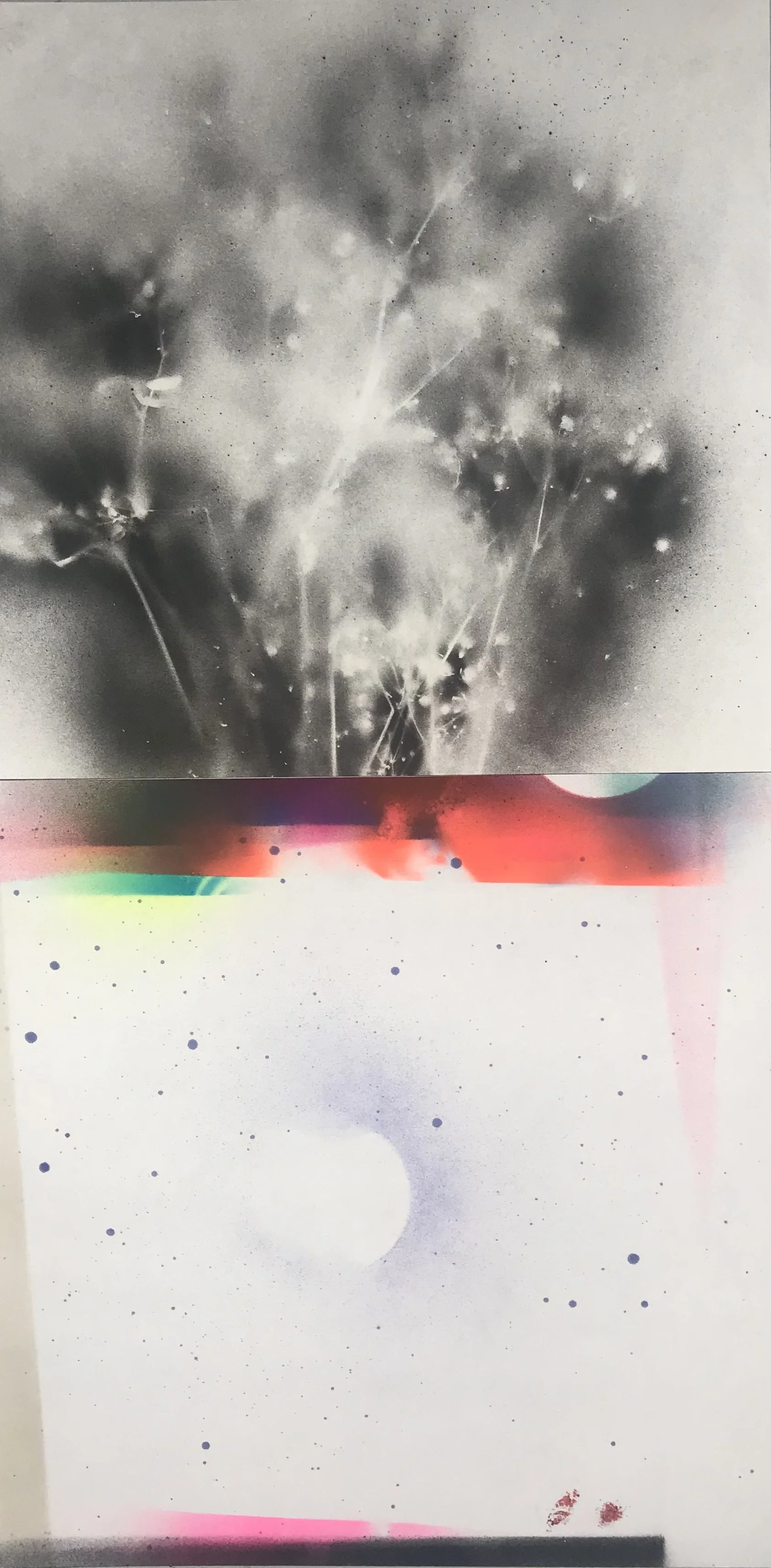 'Flowers for Bruno," acrylic spray paint on Sennelier paper, 2024, 12.5 x 25," $700