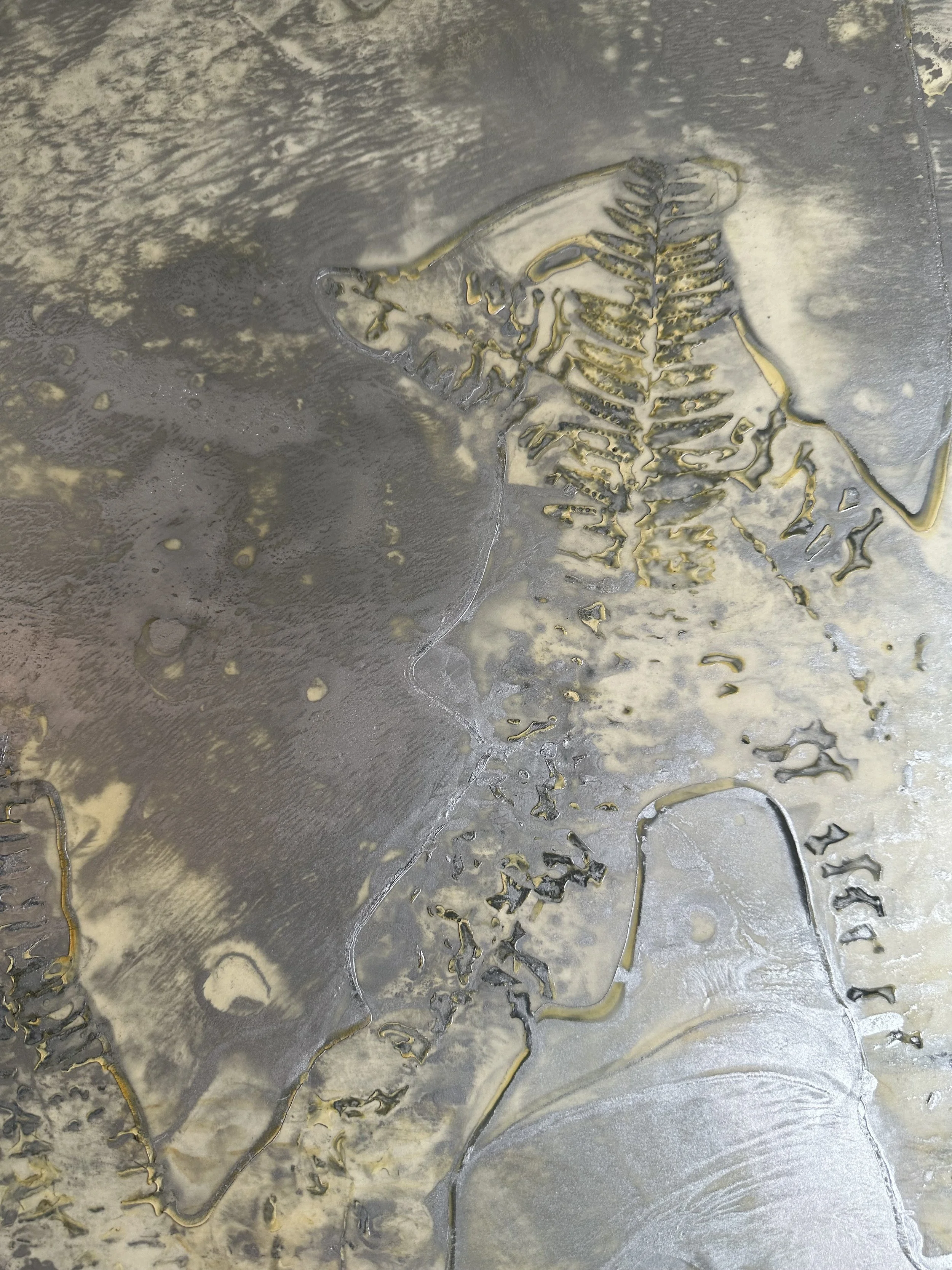 Closeup of "Frozen Ferns"