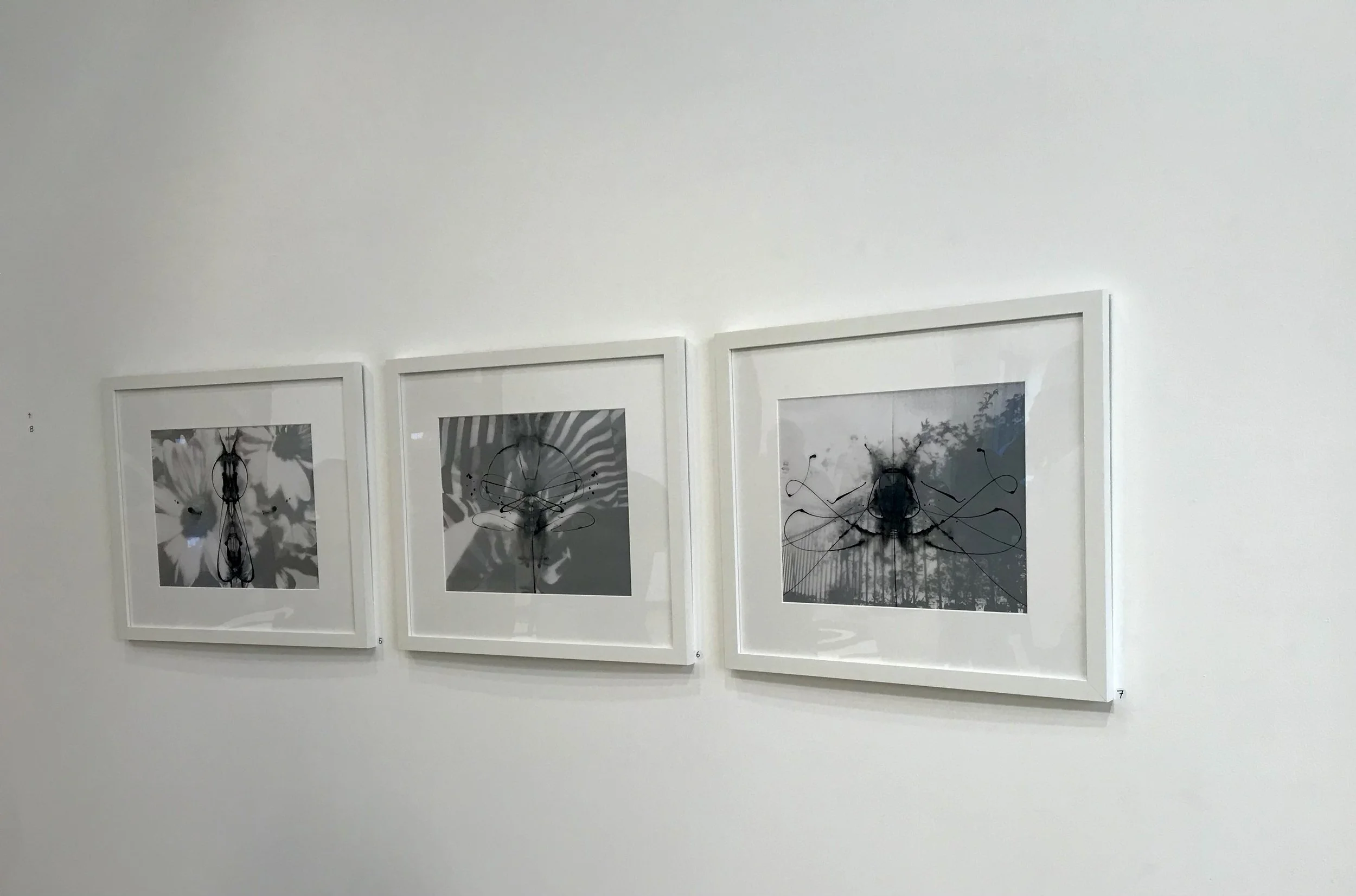 Installation photo, West LA College Art Gallery
