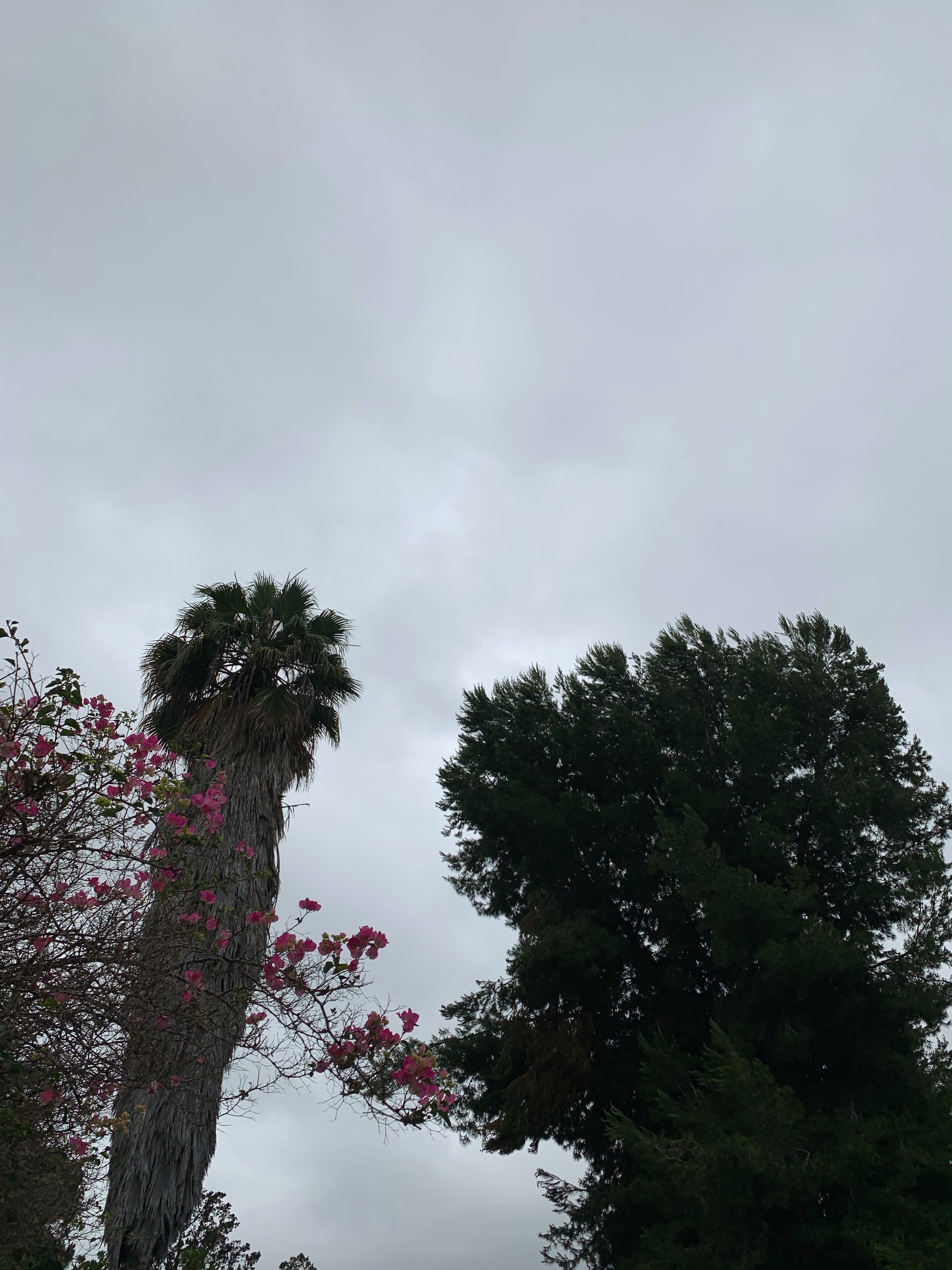 Solstice seed sowing