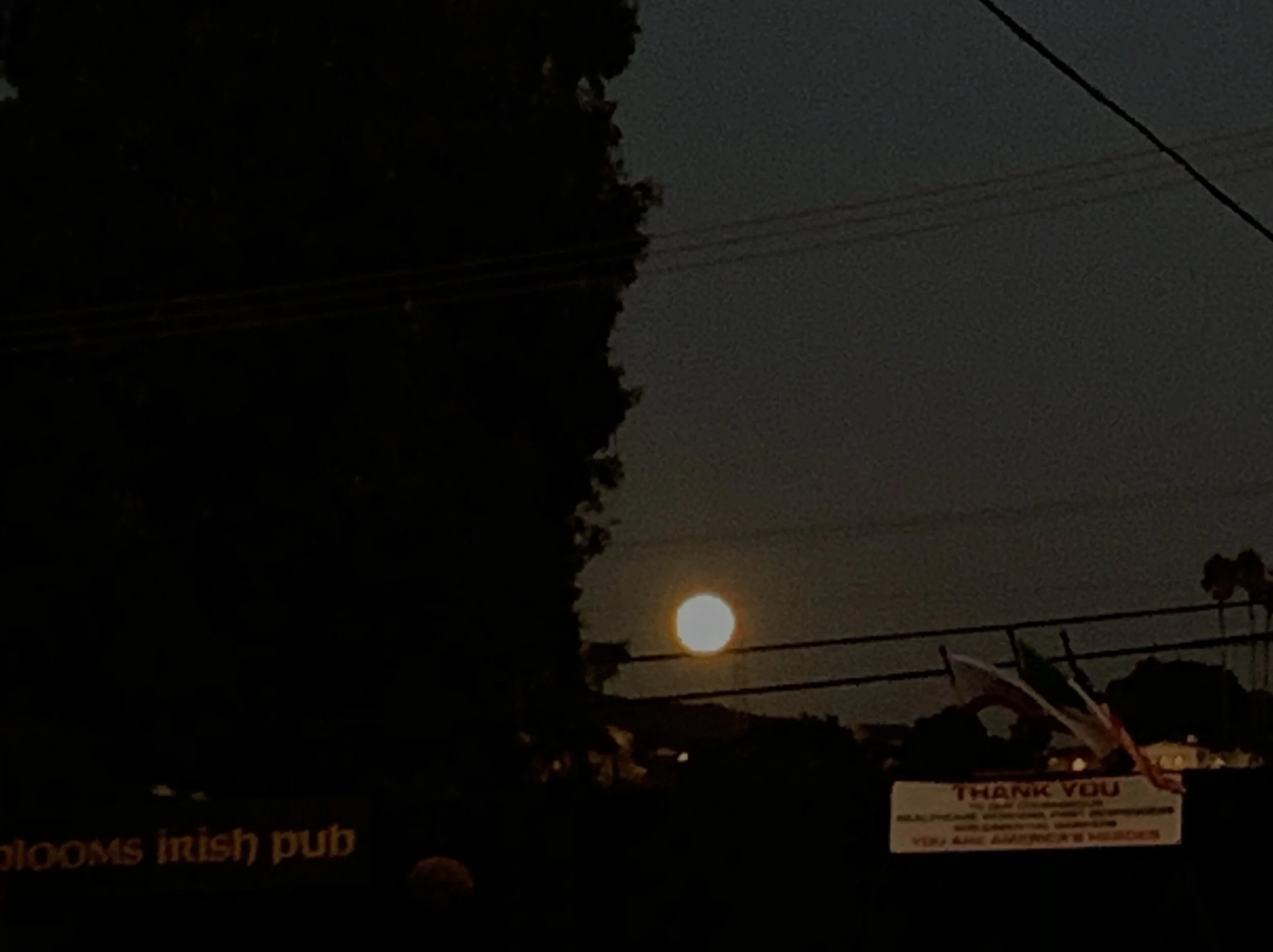 blue moon (mini) musings