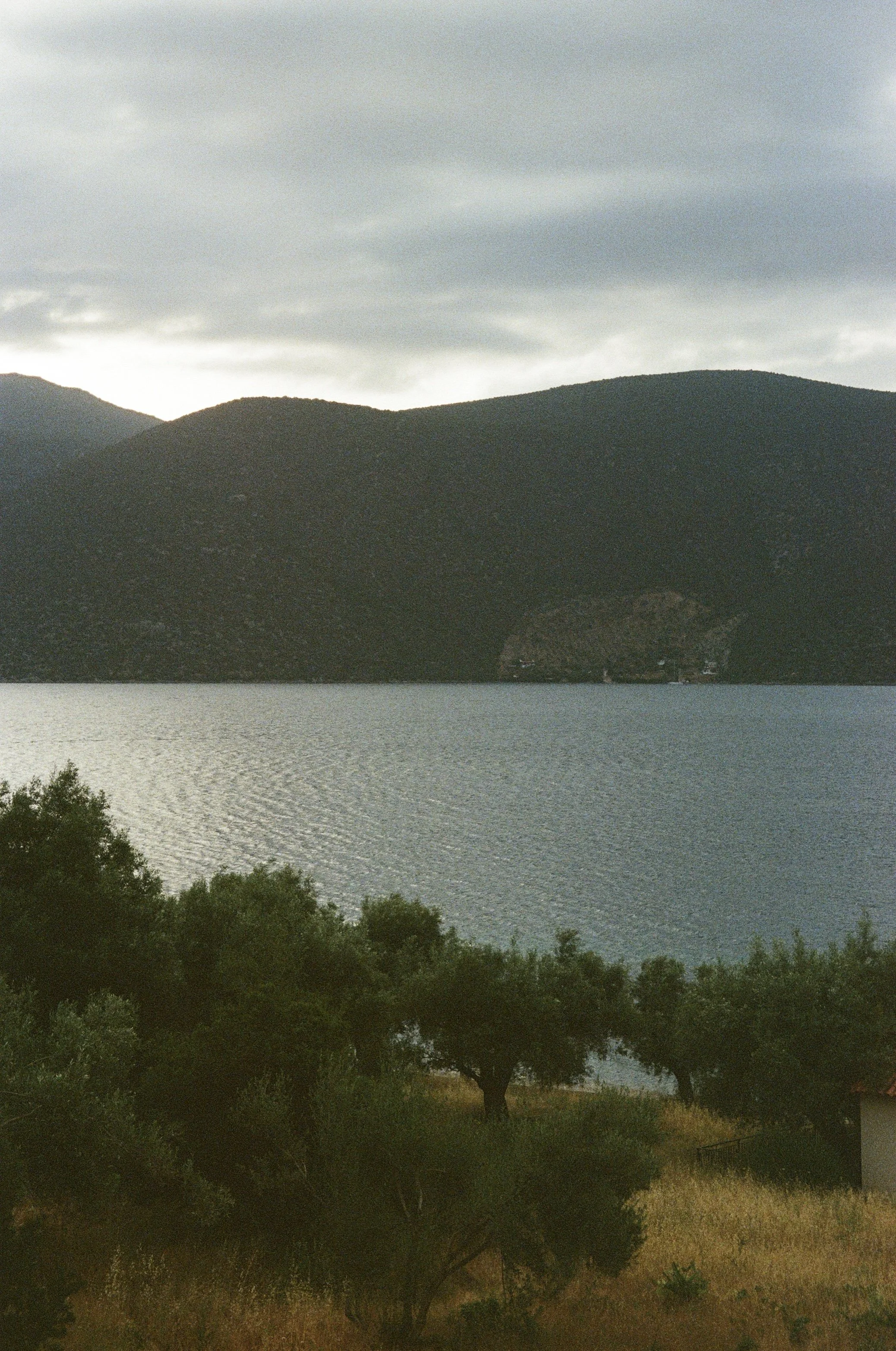 IMG_7735.jpg