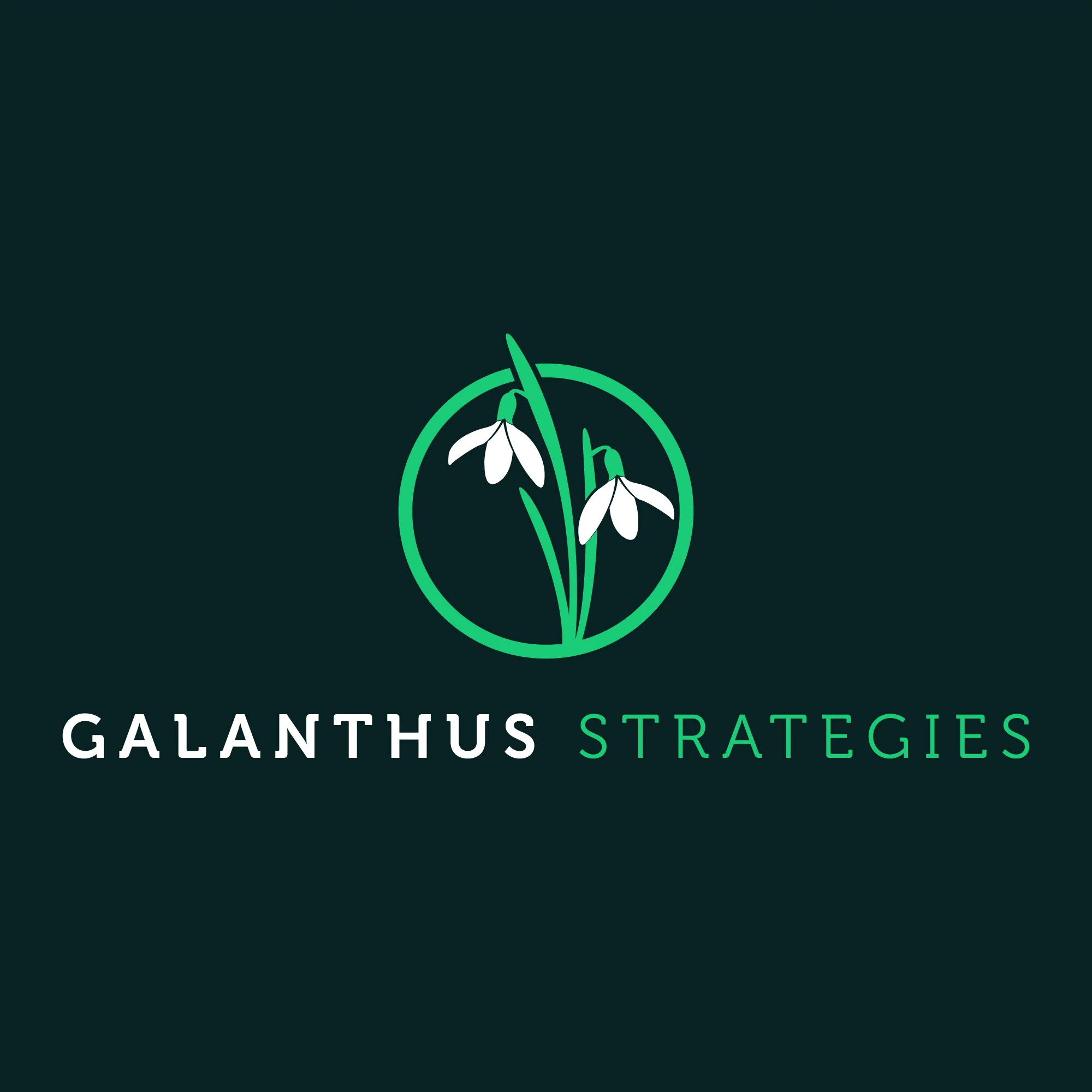 Galanthus Strategies