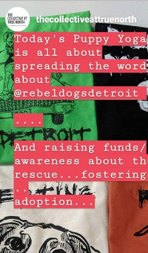 Screen Shot 2019-06-01 at 10.54.26 PM.png