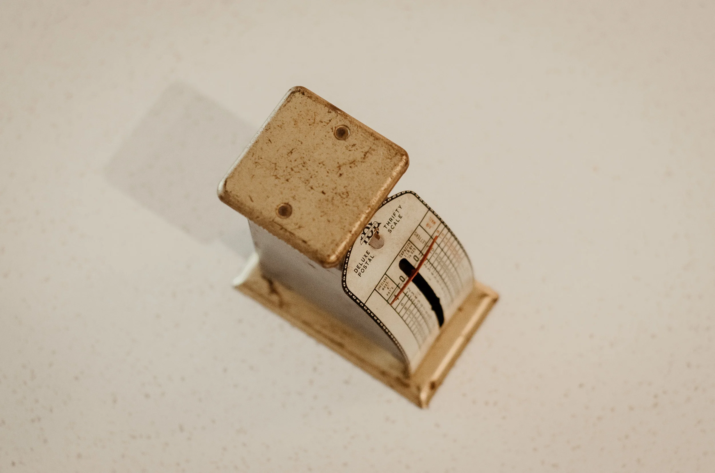 DSC_5499.jpg
