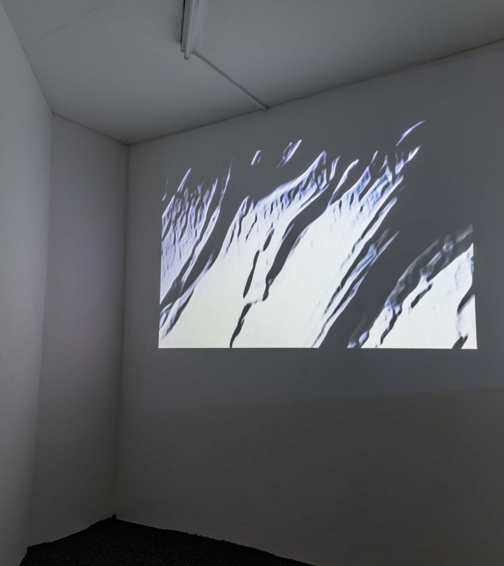 White Dwarf (installation view).jpg