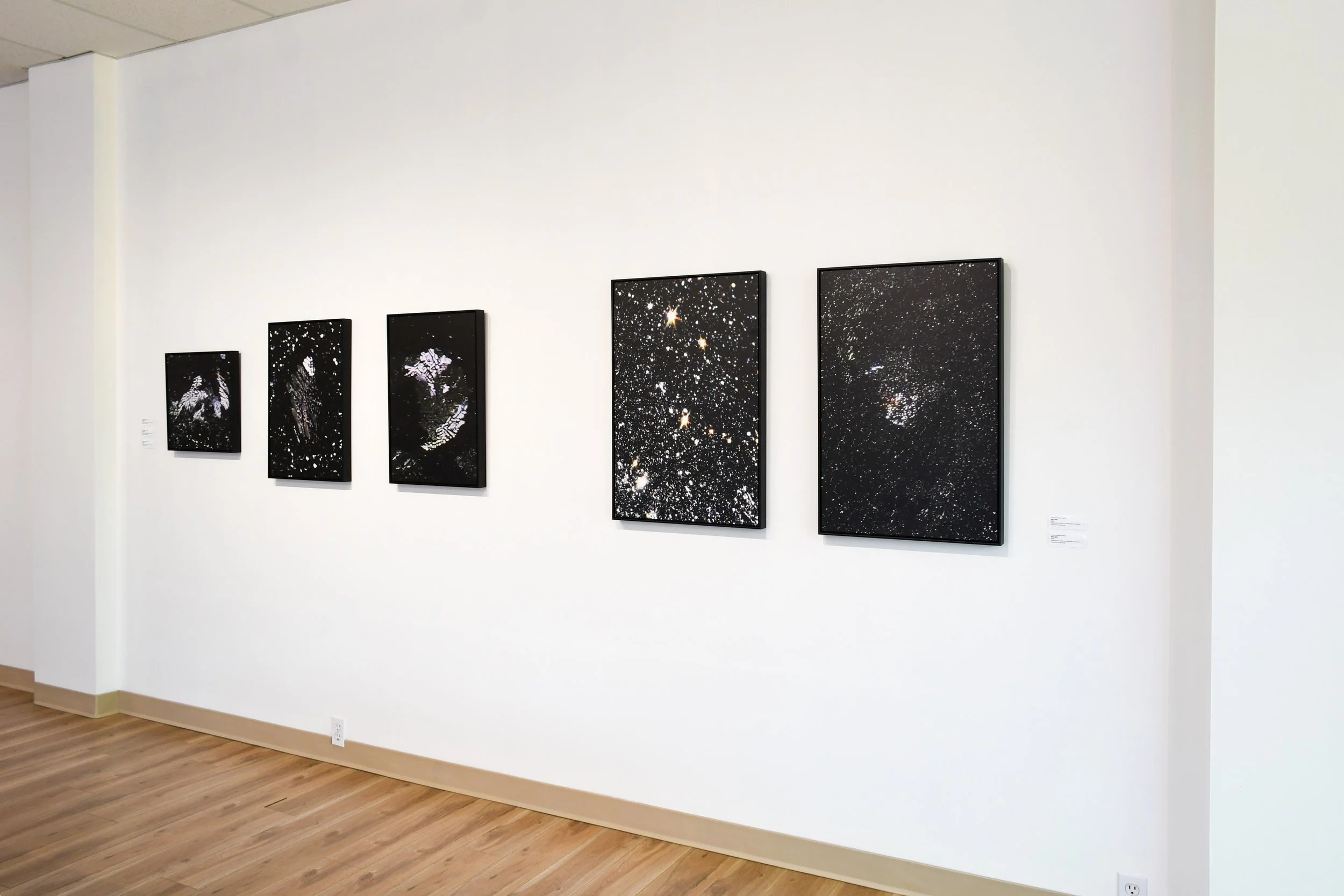 DSC_2836-crop.jpg