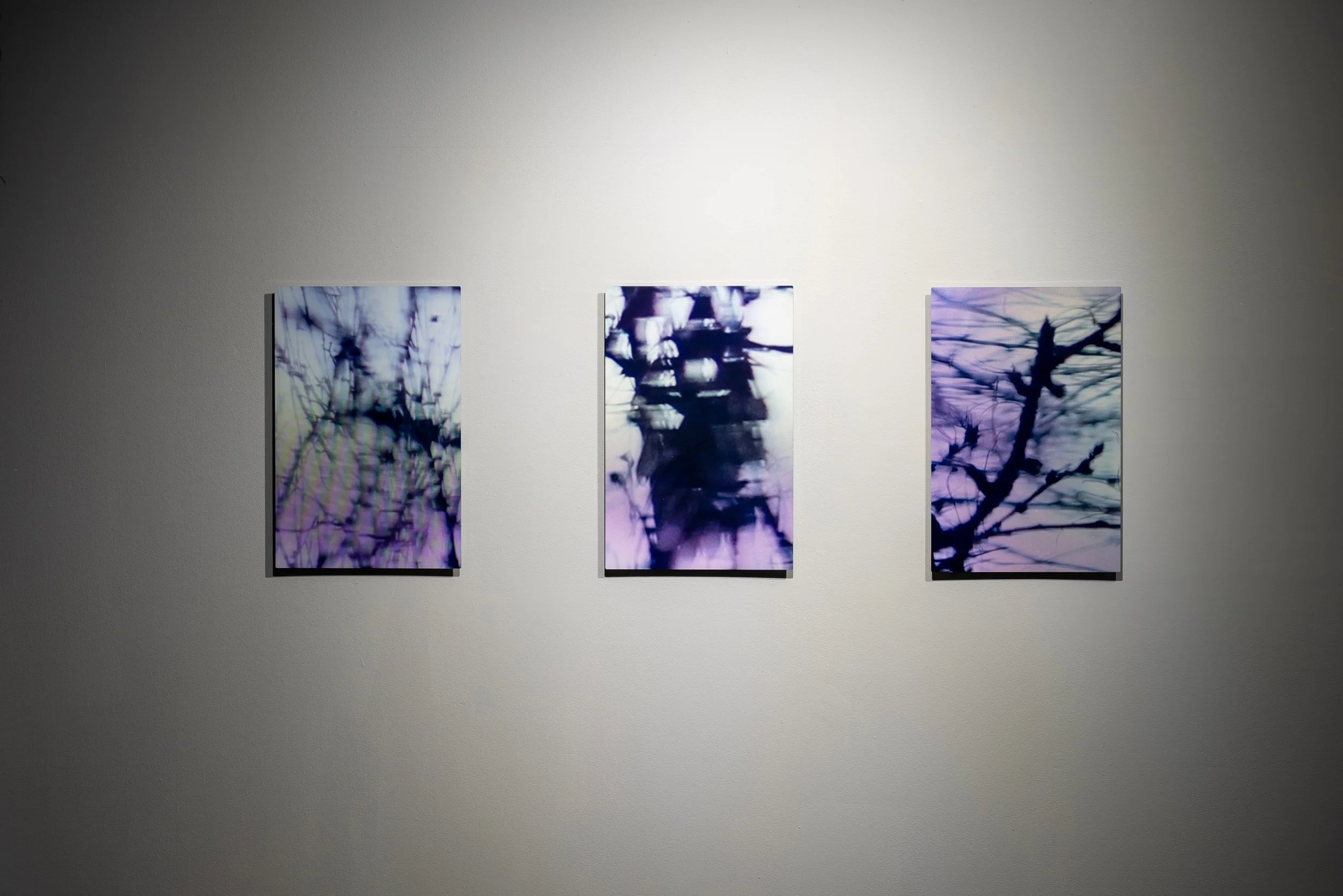 DSCF6154.jpg