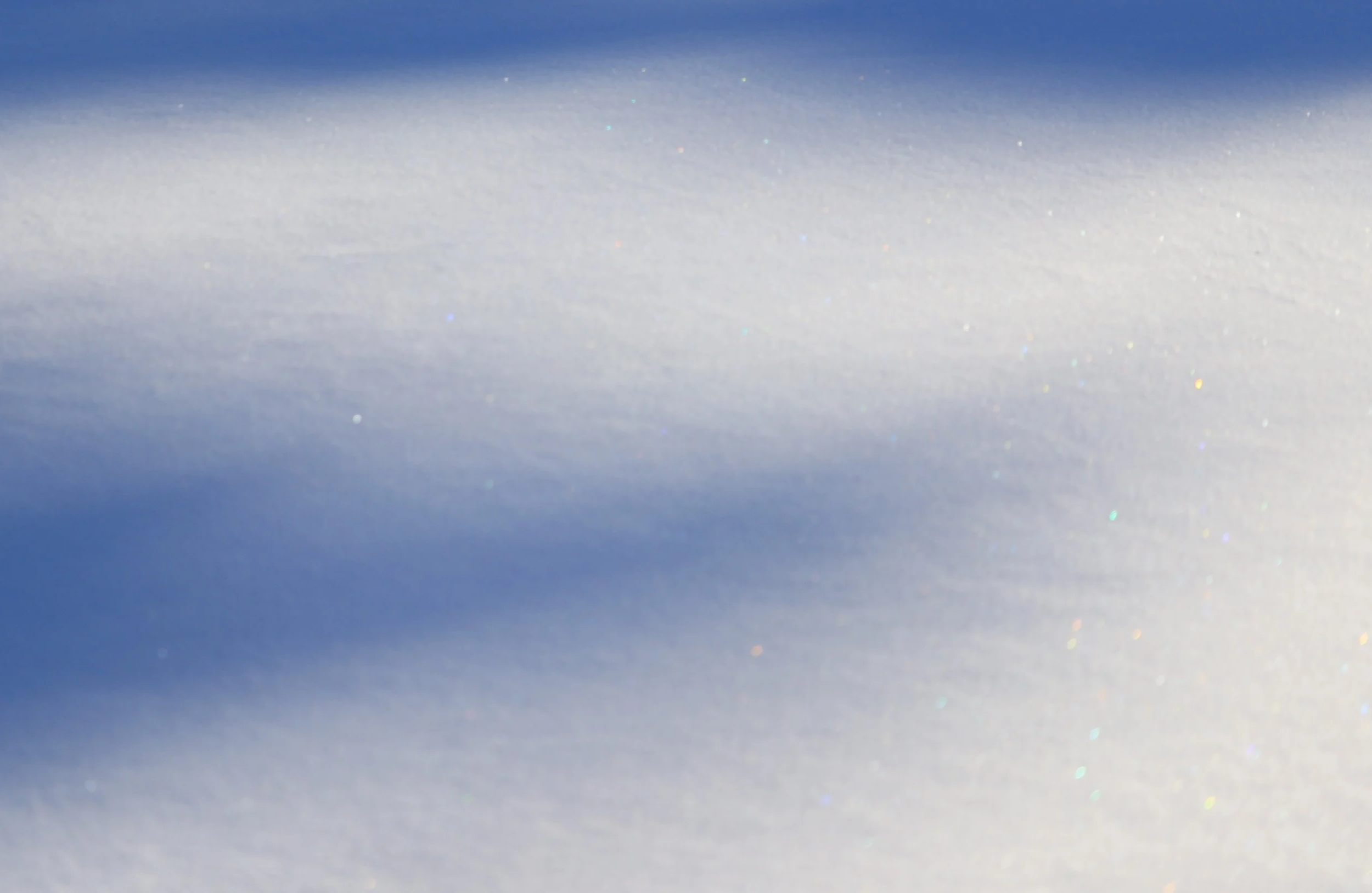 IMG_3037-copy.JPG