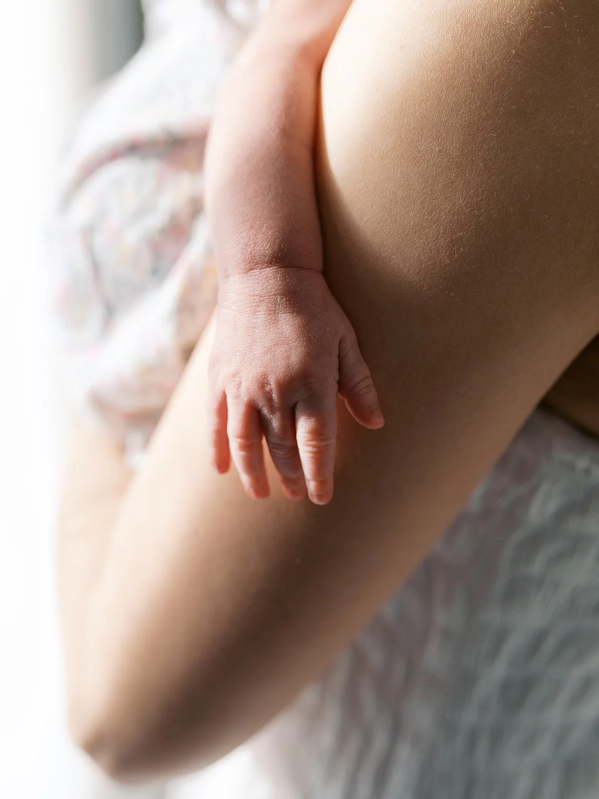 Charlotte Mahnken Newborn-1555_websize.jpg