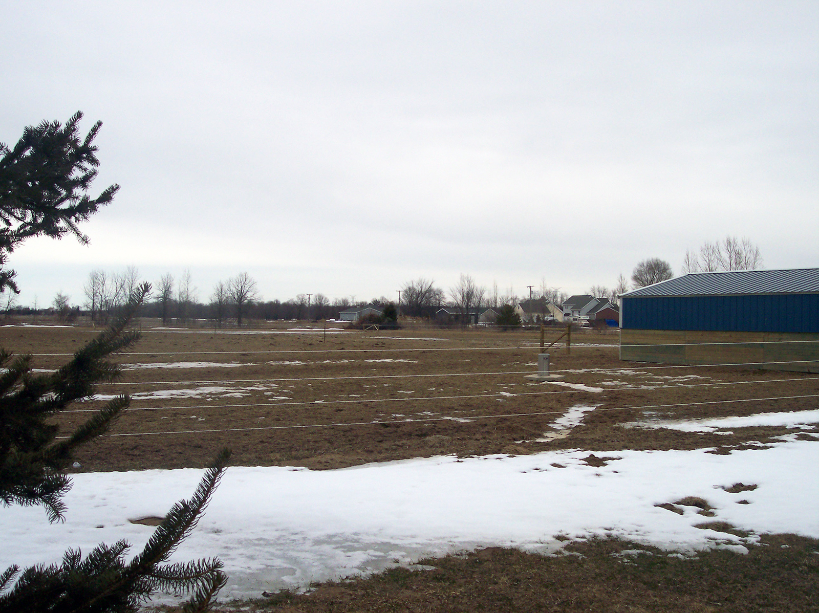 Nelson Drinker in back pasture by lean